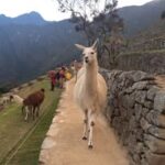 Peru 2026 Viagens Inspiradoras